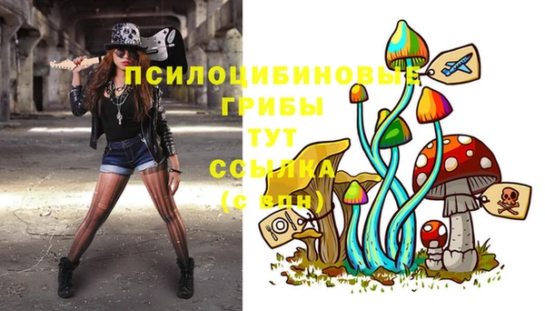 2c-b Балахна
