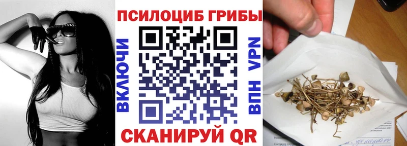 Галлюциногенные грибы Psilocybe Сретенск