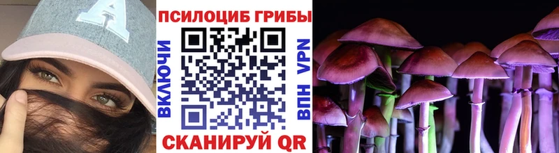 Галлюциногенные грибы ЛСД  Сретенск 